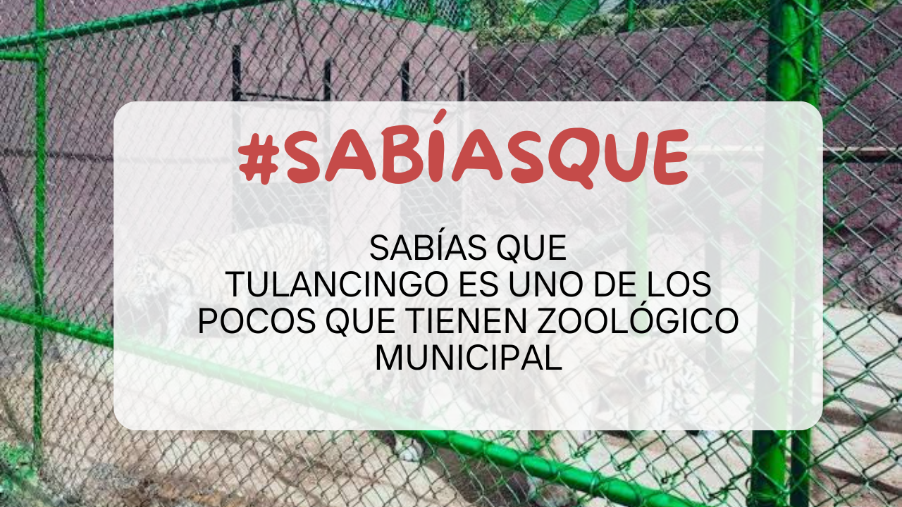 Imagen del carrusel