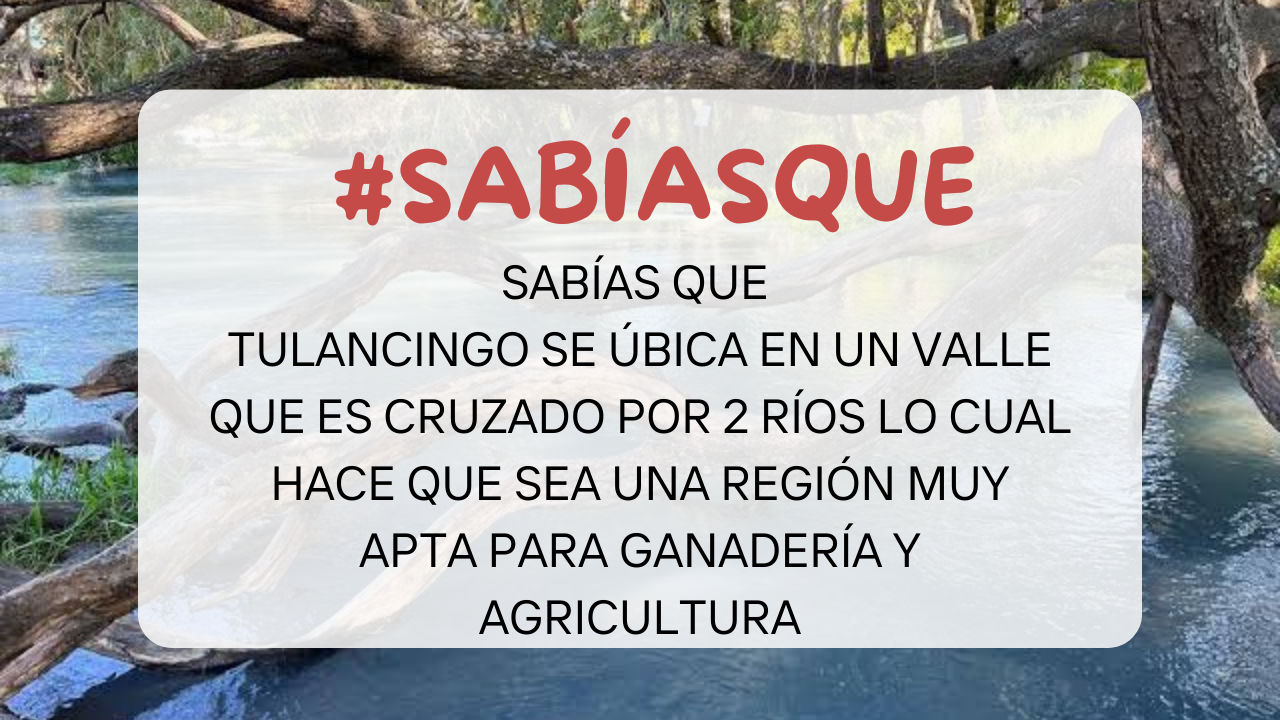 Imagen del carrusel