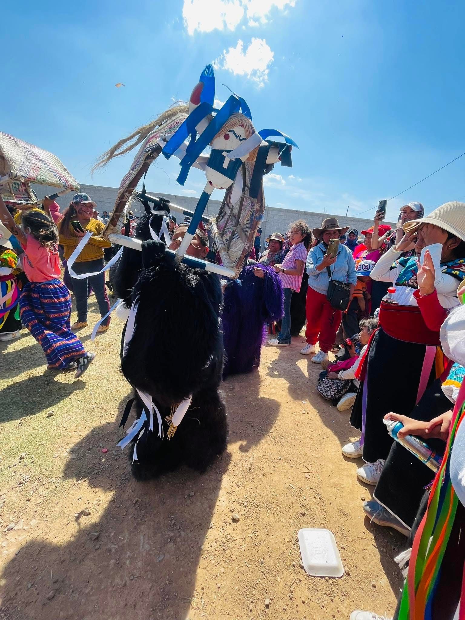 Carnaval Santa Ana Hueytlalpan