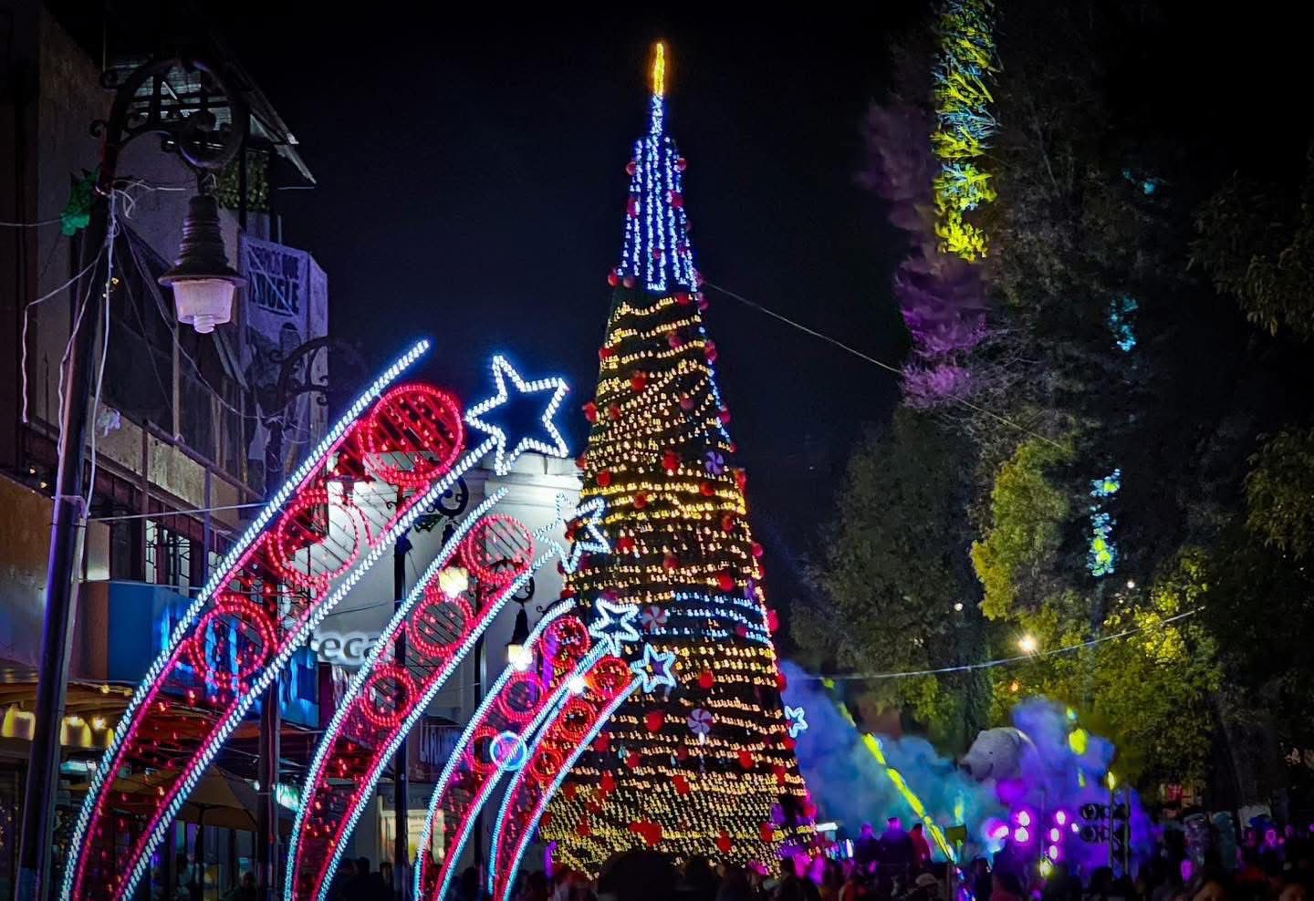 Encendida del Árbol Navideño