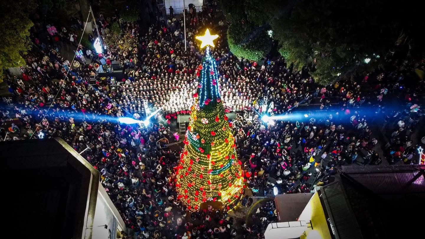 Encendida del Árbol Navideño
